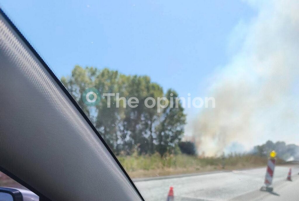 Θεσσαλονίκη: Φωτιά σε επιχείρηση στη Σίνδο (ΦΩΤΟ)