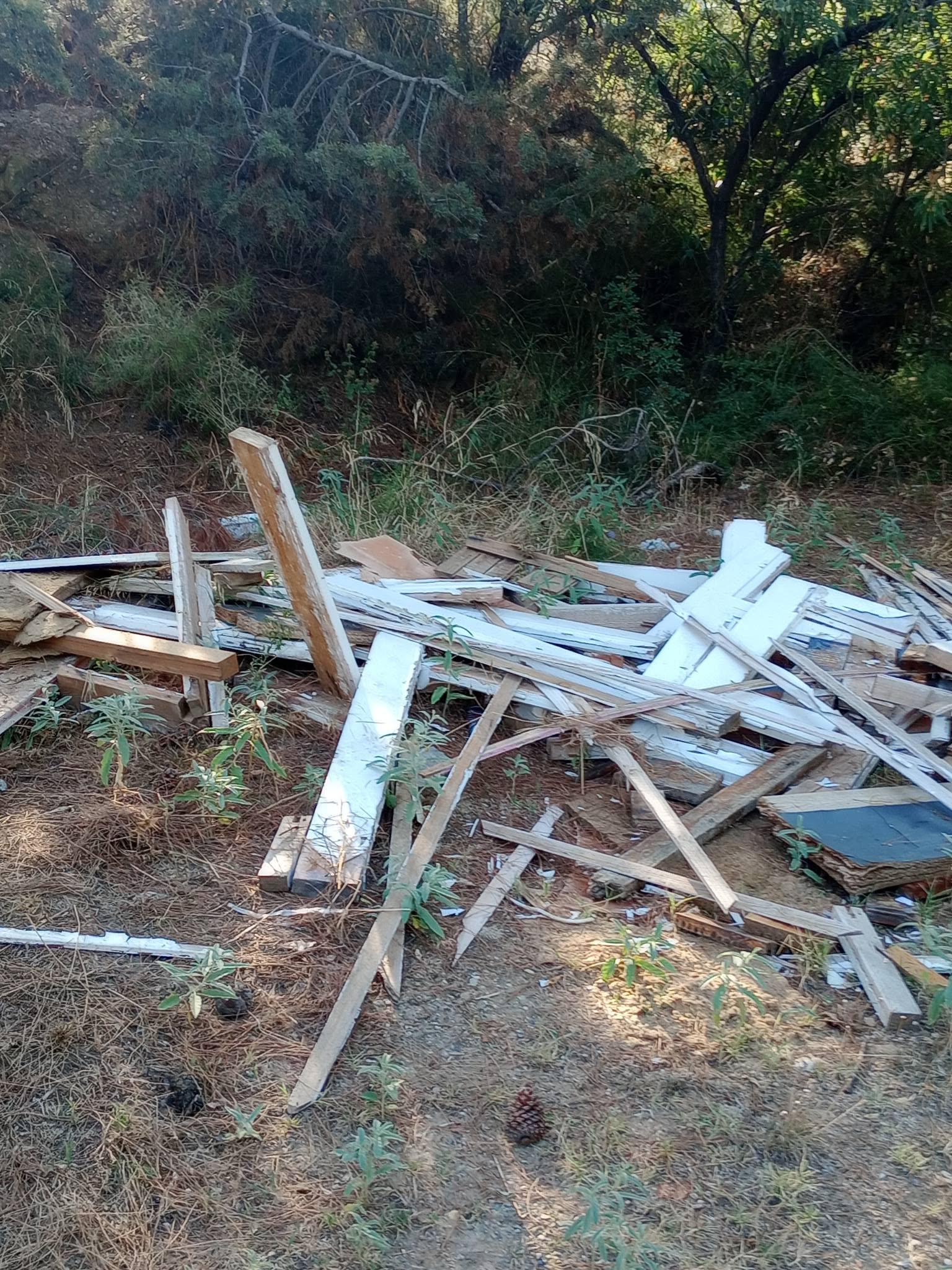 Πέταξαν μπανιέρα, καναπέ και παλέτες σε δασική περιοχή στη Θεσσαλονίκη (ΦΩΤΟ)