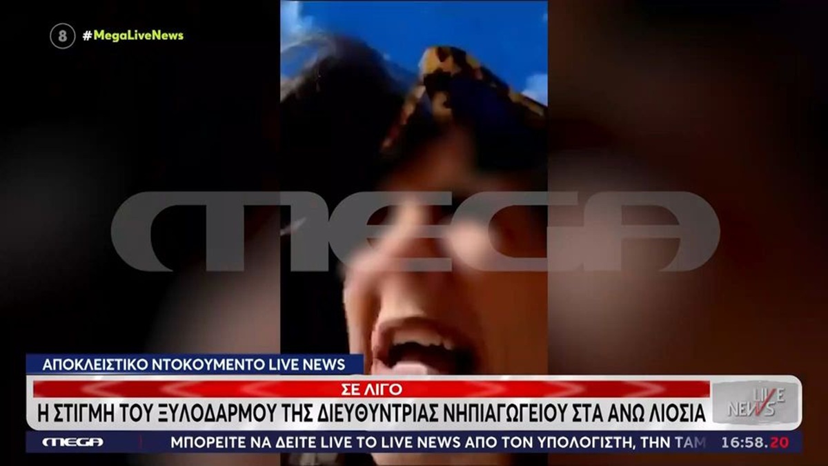 Άνω Λιόσια: Καρέ-καρέ ο ξυλοδαρμός της δασκάλας (VIDEO)