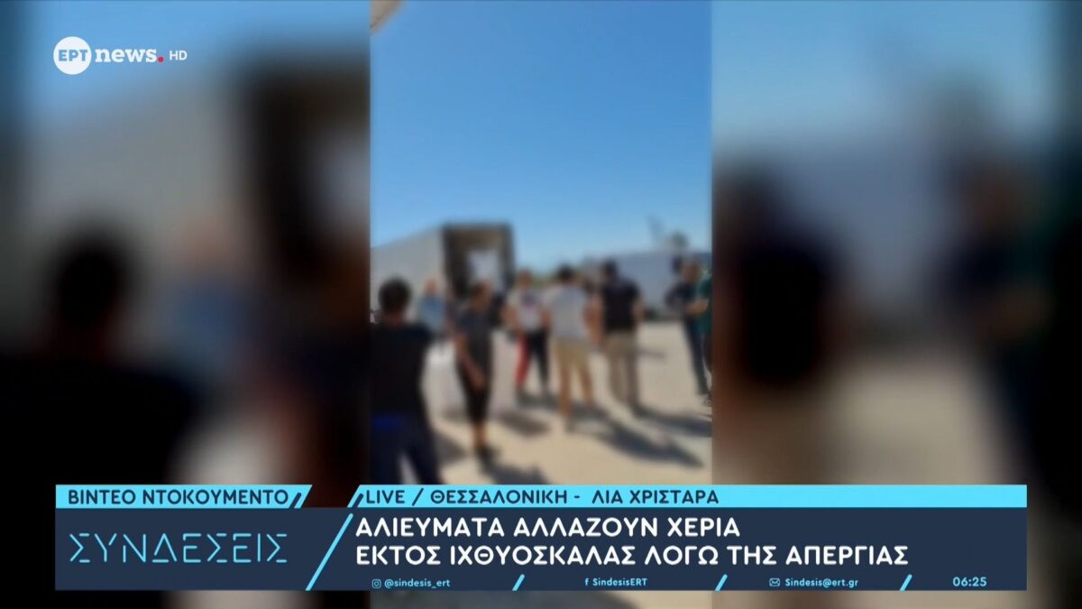 Θεσσαλονίκη: Αλιεύματα αλλάζουν χέρια εκτός ιχθυόσκαλας εν μέσω απεργίας (VIDEO)