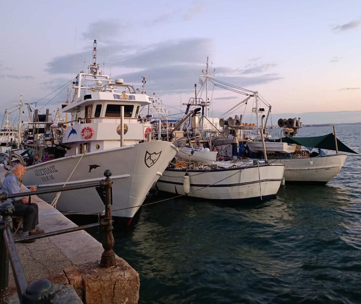 Το Βόρειο Αιγαίο βγάζει τα περισσότερα όμως οι γειτονιές δεν μυρίζουν… ψαρίλα