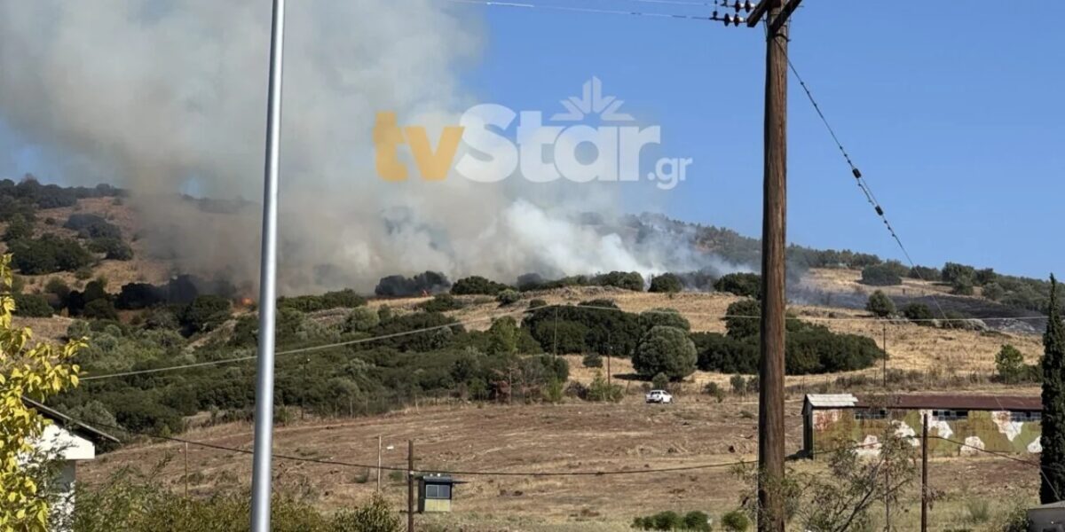 Φωτιά στη Λαμία: Κινείται προς το δάσος του Προφήτη Ηλία – Σηκώθηκαν εναέρια (VIDEO)