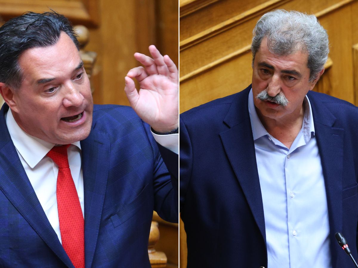 Άδωνις Γεωργιάδης, Παύλος Πολάκης