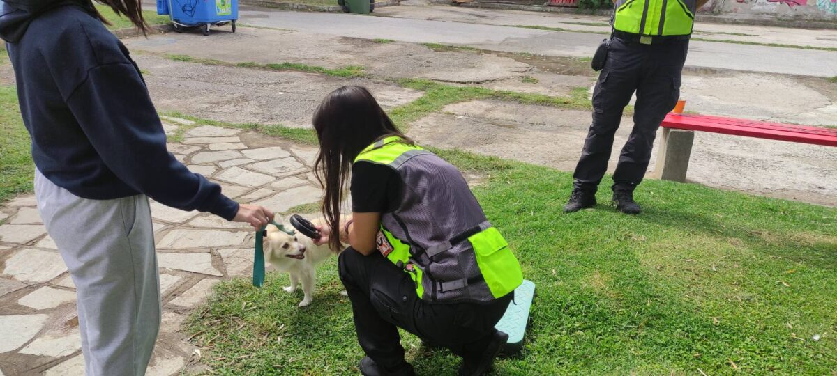 Θεσσαλονίκη: 15 γάτες ζούσαν σε άθλιες συνθήκες – 14.300 ευρώ σε πρόστιμα για ζώα συντροφιάς