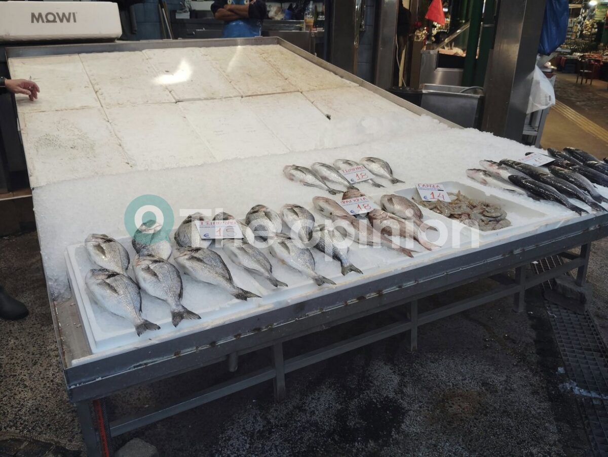 Στέρεψε η αγορά της Θεσσαλονίκης από φρέσκο ψάρι – «Δεμένα» τα καΐκια στον Θερμαϊκό (ΦΩΤΟ)
