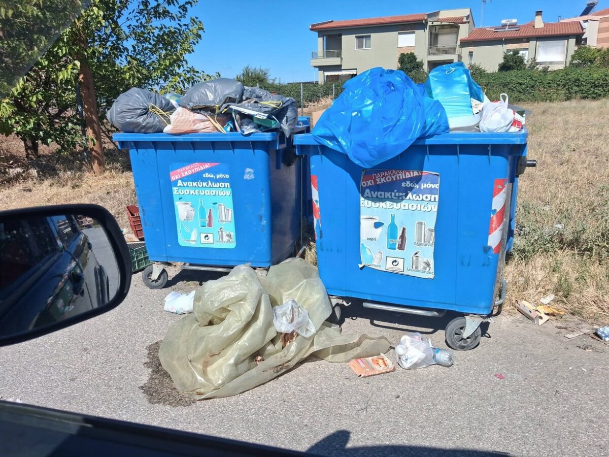 μπλε κάδοι